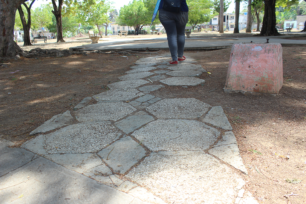 El parque está estructurado con espacios para los árboles y las plantas ornamentales, y áreas con bancos. // Foto: Marlene Herrera