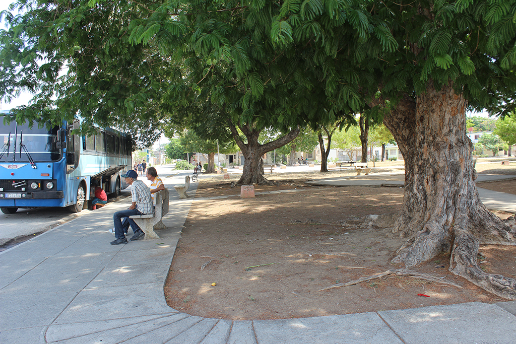 En la formación de lo que es hoy el parque Vallespín colaboraron el Sr. Alcalde José Coronas, que se ocupó del alumbrado, la Sra. María del Carmen Rodríguez que según cuenta en documento de la época se hizo cargo del arbolado que sembrara y cultivara con esmero. // Foto: Marlene Herrera