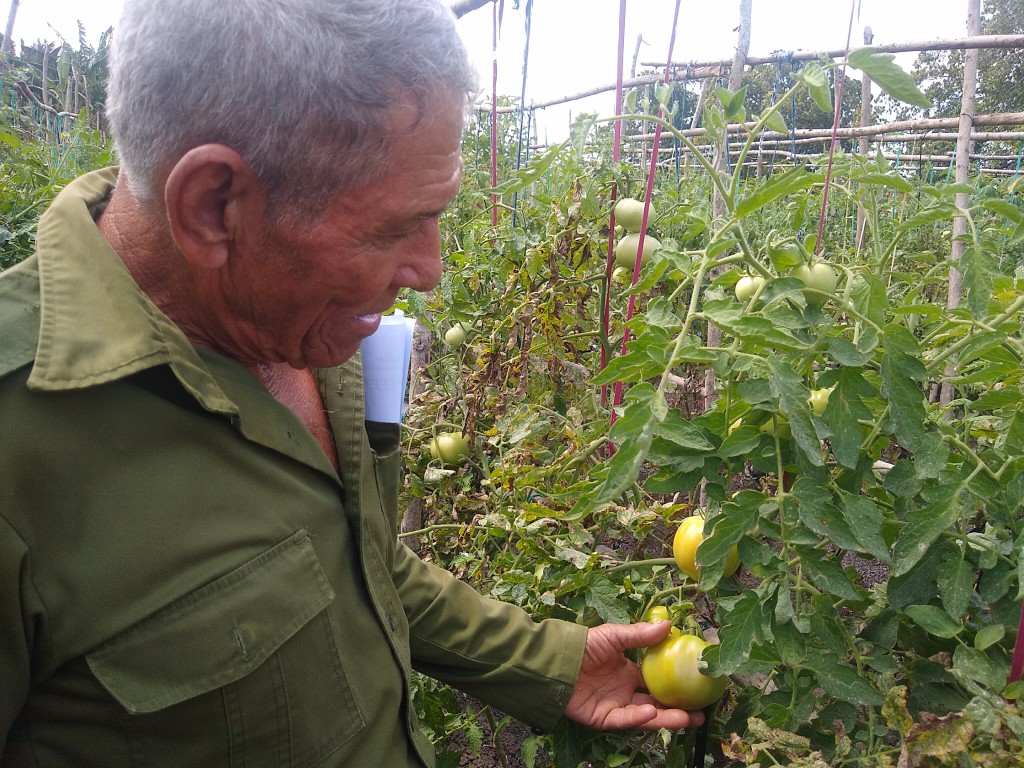 José Lahera Peña, excepción que debe ser regla // Foto: Denia Fleitas Rosales