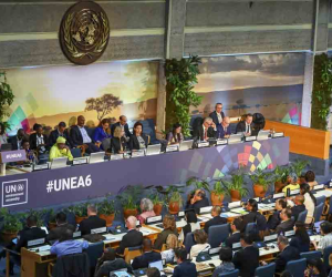 ONU aprueba resolución cubana sobre Medio Ambiente // Foto: PL