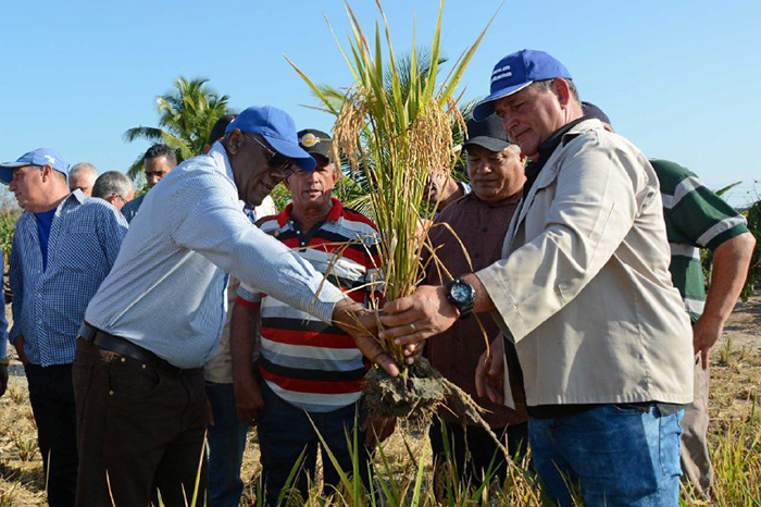 Foto: Rodolfo Blanco Cué