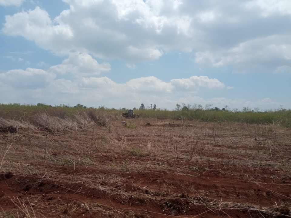 Foto: Empresa Eléctrica de Granma