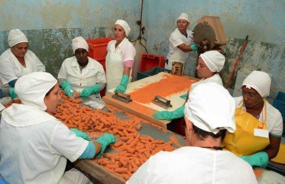 Procesamiento de croquetas de pescado, en la planta Estrella Roja, una de las unidades visitadas por el Grupo Empresarial de la Industria Alimentaria (GEIA), Camagüey. Foto: Rodolfo Blanco Cué.