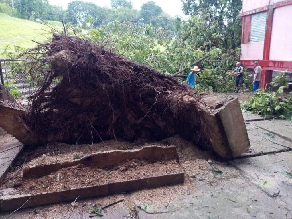 Foto tomada de Internet