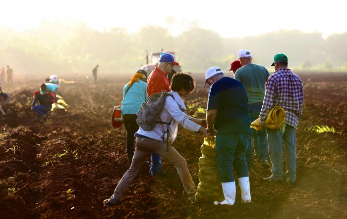 Disponer con suficiencia los alimentos que se demandan pasa por sumar más brazos a la producción. Foto: Alejandro Azcuy