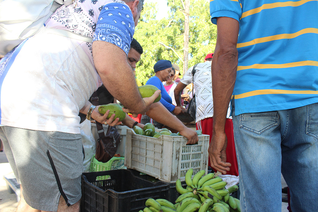 Las bases productivas y trabajadores por cuenta propia vendieron viandas y Vegetales // Foto: Marlene Herrera