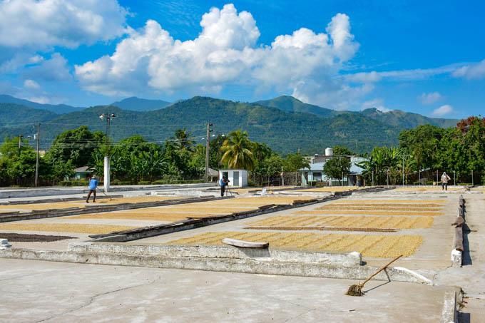 Foto: Luis Carlos Palacios