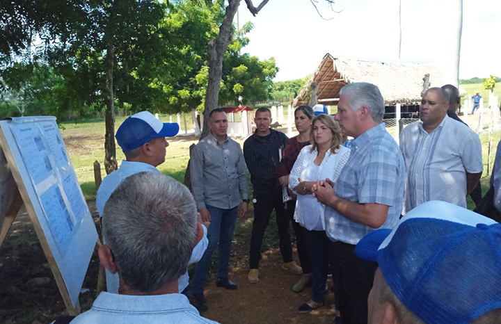 Foto: Oscar Alfonso Sosa