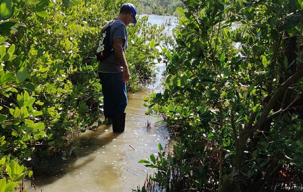 Foto: Proyecto Mi Costa Manzanillo