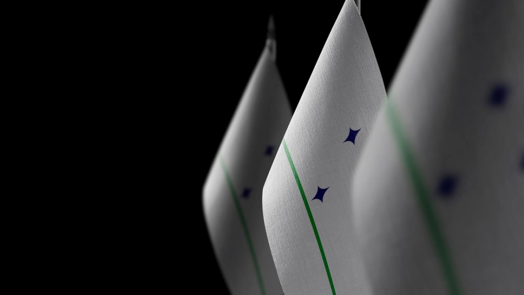 Banderas nacionales del Mercado Común del Sur (Mercosur)Aleksey Butenkov / Legion-Media