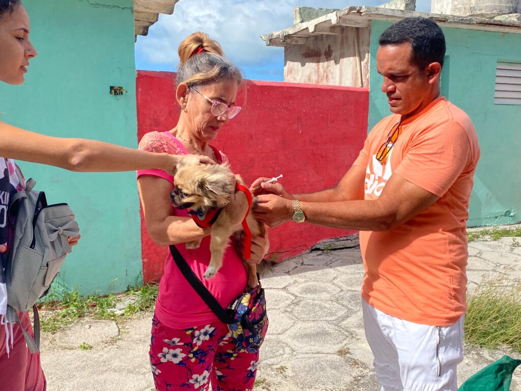Karel Varela Figueredo, es veterinario y parte del grupo de bienestar animal Huellas del Golfo // Foto: cortesía de Liliam Marlén Guisado