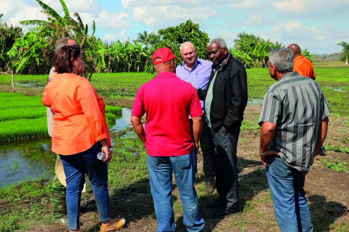 El titular del Parlamento visitó las tierras dedicadas al cultivo del arroz en Aguada. Foto: Miguel Antonio Sarduy