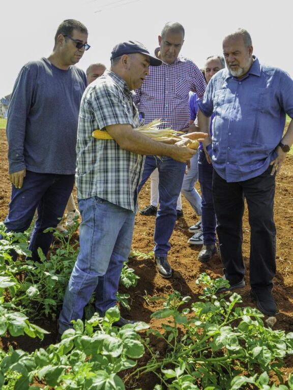 Marrero Cruz dijo que es posible incrementar la producción de papa, incluida la obtención de semilla, y conservarla bien. Foto: José Manuel Correa