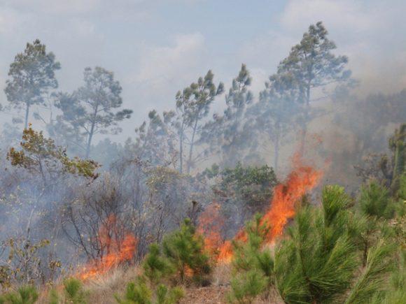  Las condiciones climáticas extremas agravan la vulnerabilidad de los ecosistemas agrícolas cubanos. Foto: Tomada de Cubadebate 