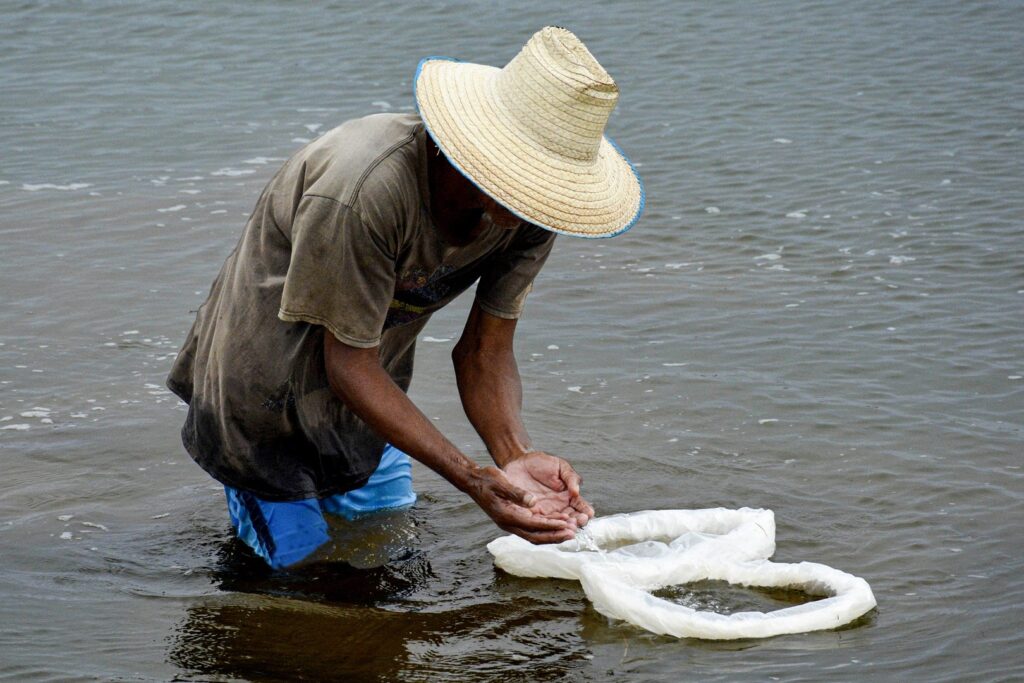 Imagen ilustrativa // Foto: cortesía de Pescagran