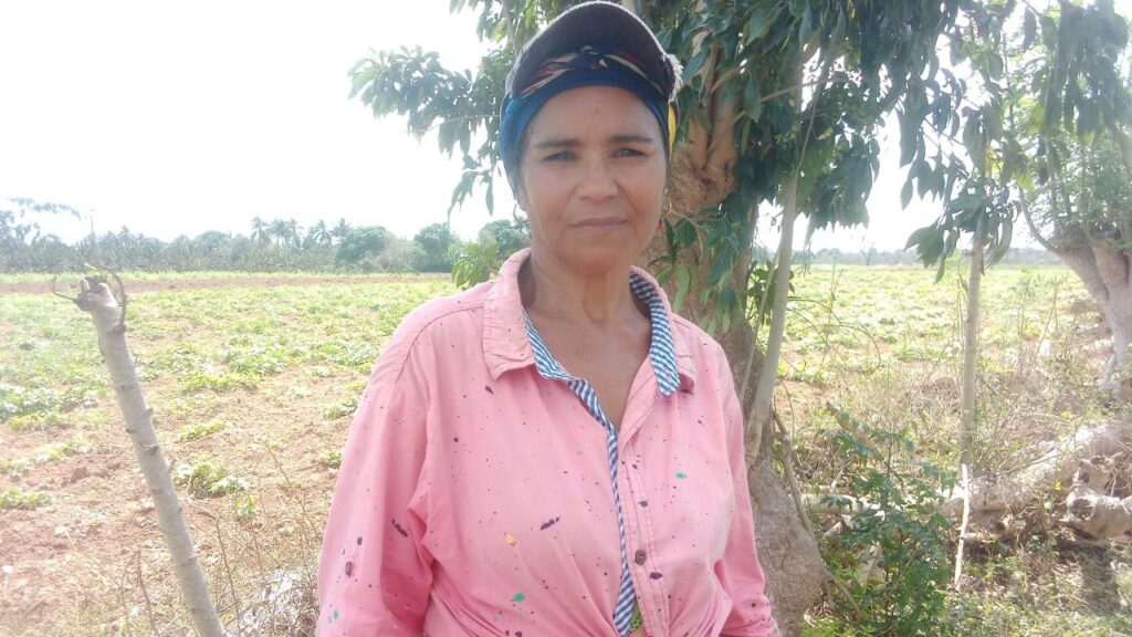 Foto: Rafael González