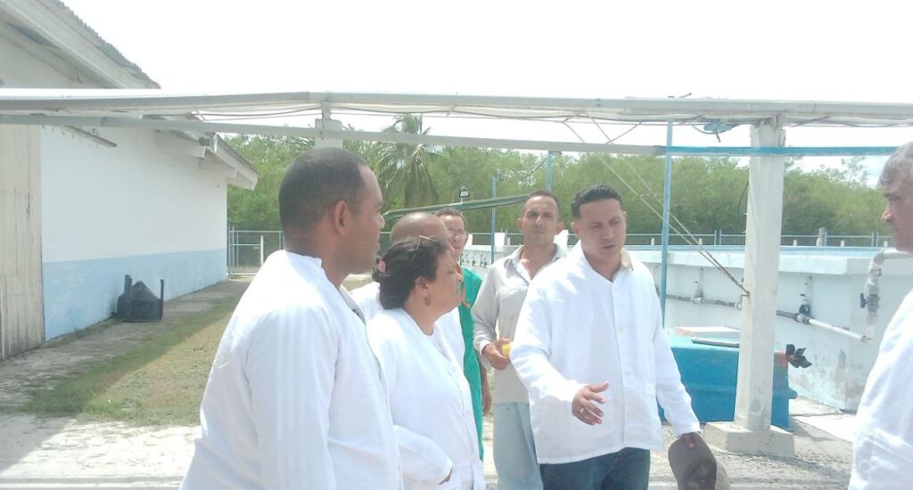 Foto: Rafael González