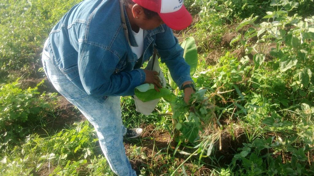 Foto: Rafael González