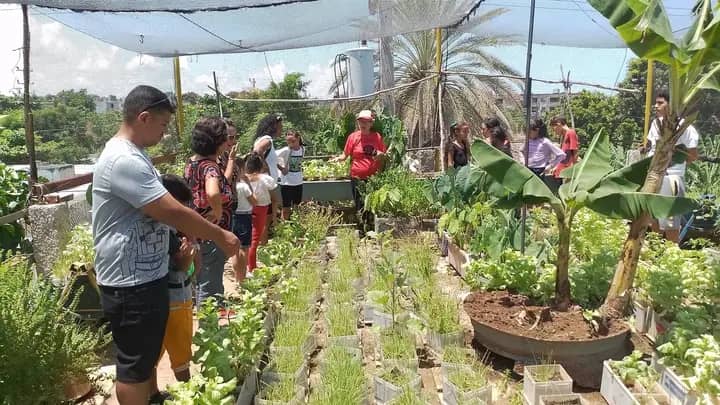Patio Agroecológico La Rosita