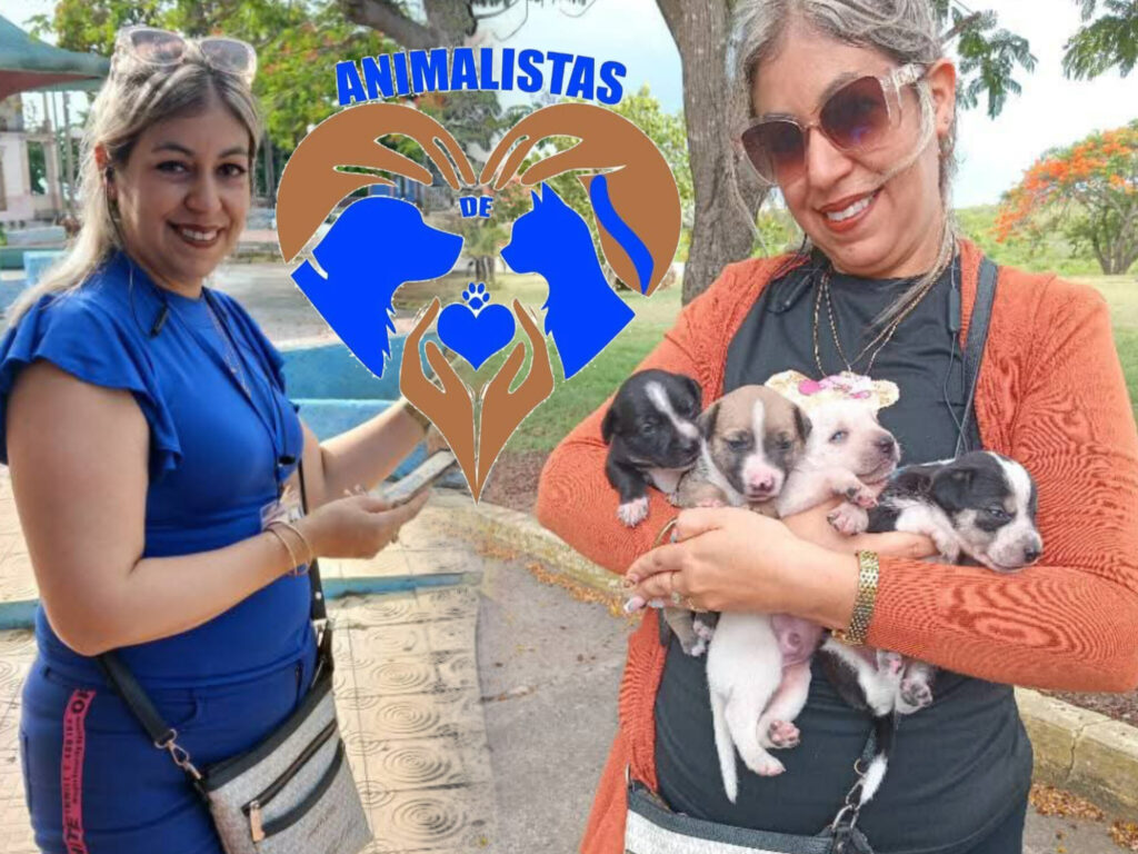 Imagen Lilian Salvat Romero 
