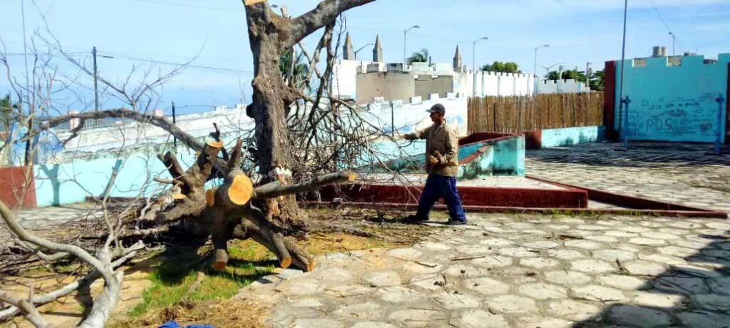 Limpieza de las áreas // Foto: Cortesía del director