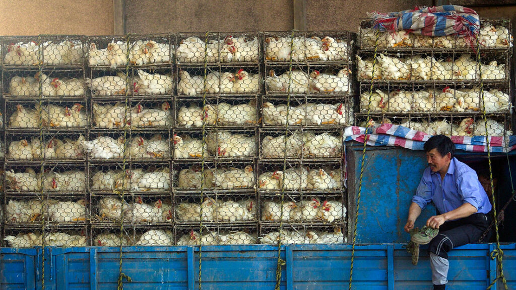 Imagen ilustrativa.China Photos