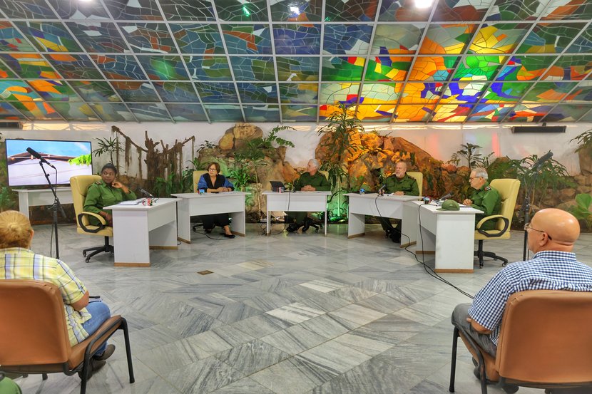 Foto: Alejandro Azcuy