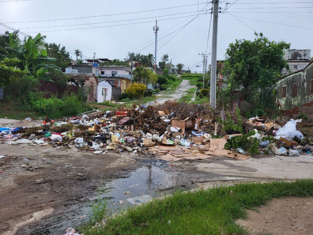 Foto: María Fonseca Alejandre