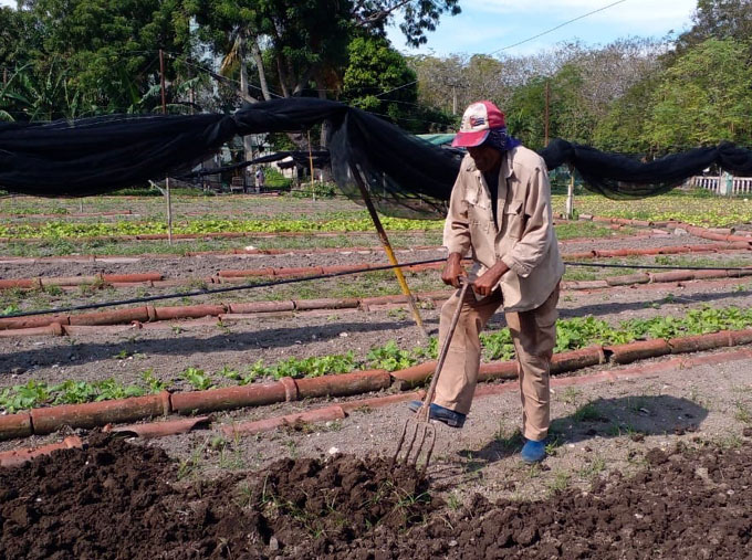 Foto: Juan Farrell Villa