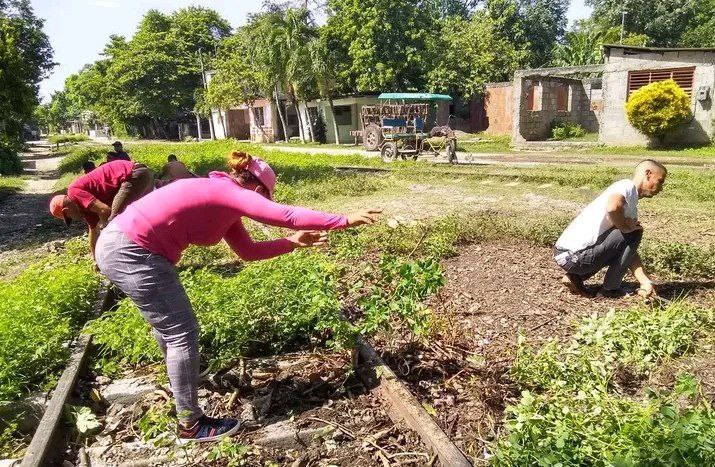 Fotos tomadas del perfil de Facebook de la UJC
