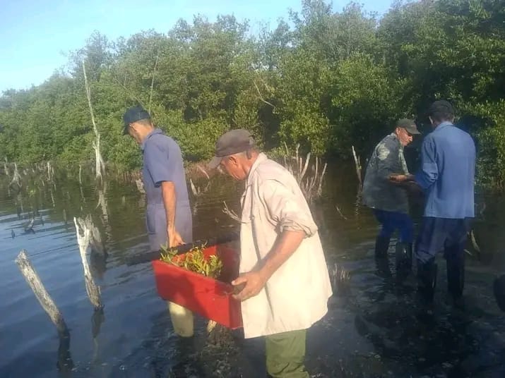 Foto: Mi costa Manzanillo 