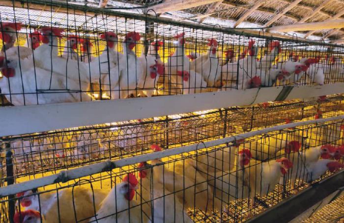 Foto: Tomada de la ACN