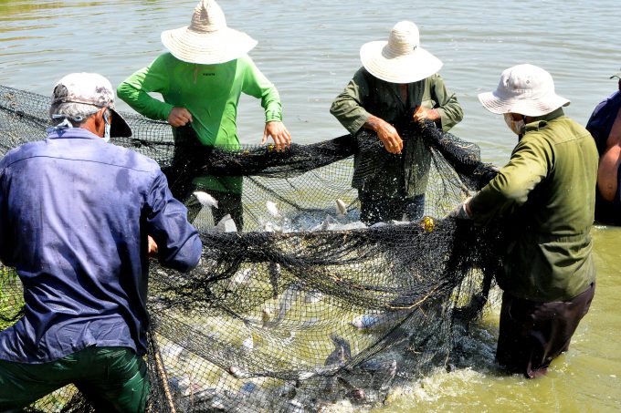 El colectivo de Pescagran se propone nuevos retos para el 2026 // Foto: Rafael Martínez Arias