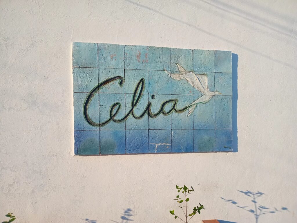 Mural de Celia Sánchez Manduley. //
Foto: Claudia Sánchez Morales