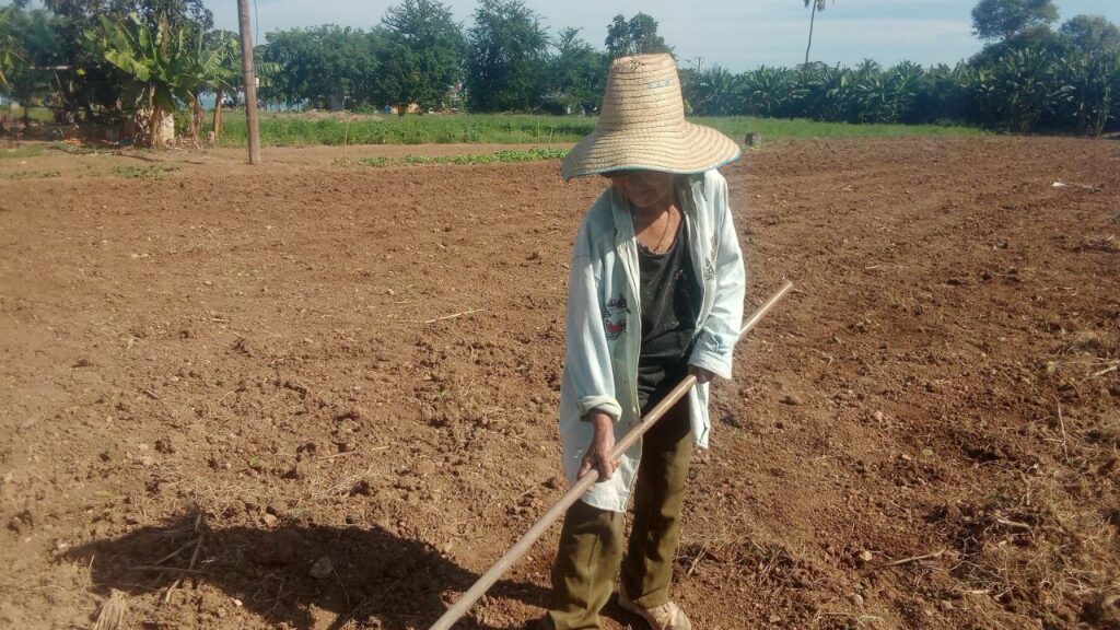 Trabajadora del Huerto Intensivo El Ranchón en plena faena // Foto: Rafael González Castro.