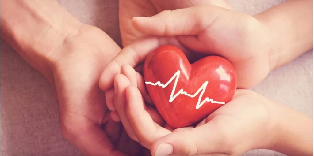 Foto/ Portal CubaSí 