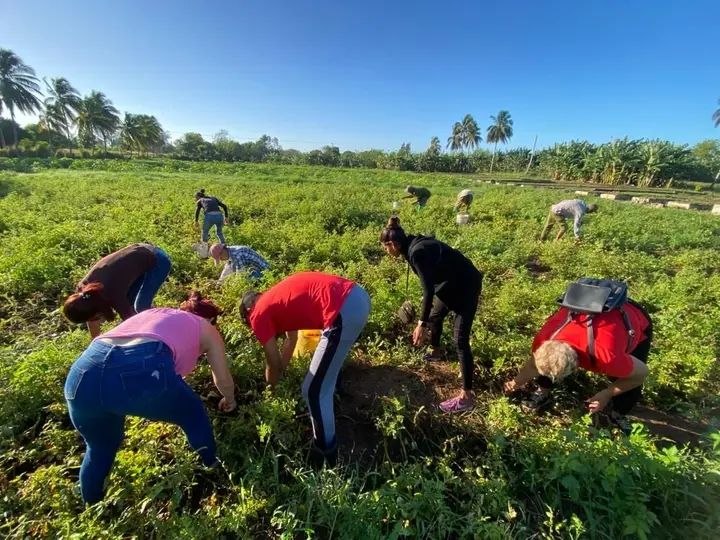 Foto tomada de la página de facebook de la UJC Manzanillo
