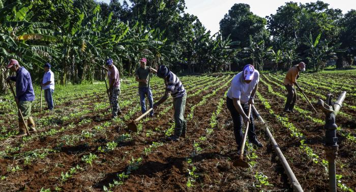 ¡Patrio o Muerte! expresa la resistencia de un pueblo que ha aprendido a crecer a contrapelo de las dificultades. Foto: Estudios Revolución