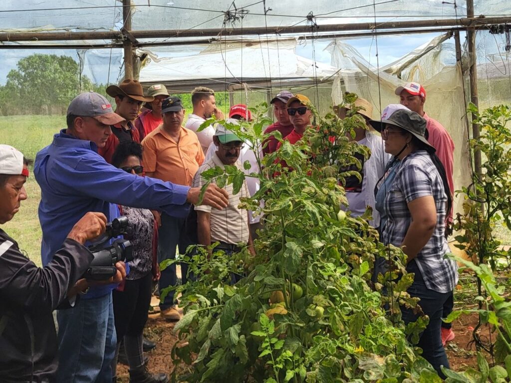 Intervenciones en la Unidad Empresarial de Base Granja Urbana Casas de Cultivos “El Sitio”. //Foto: María Fonseca Alejandre