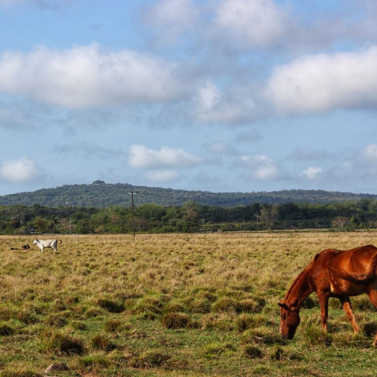 Hermoso paisaje natural a pocos kilómetros de Sagua la Grande, Villa Clara. ( Ray Saavedra Otaño / Cubahora) 