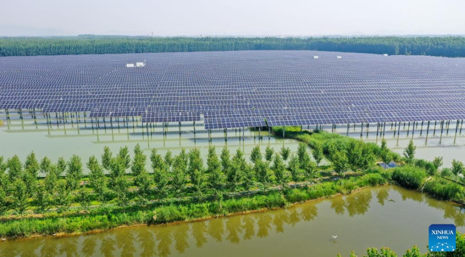 Granja fotovoltaica-acuícola en un área de subsidencia minera en la ciudad de Binhu, en Tengzhou, provincia china de Shandong, 2 de junio del 2026. Foto: Xinhua.