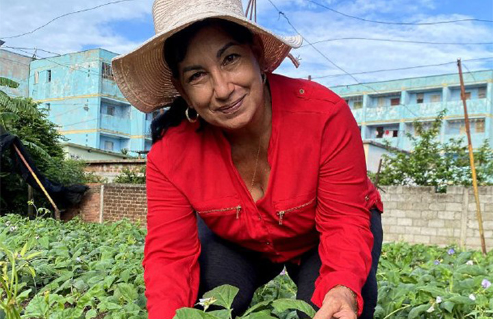 Fotos cortesía de la FAO 
